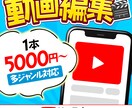 編集歴10年のプロがYouTube動画を制作します 多ジャンル対応！ご満足いただける動画を作成いたします イメージ1