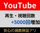YouTube再生・視聴回数5000回増やします 動画の再生・視聴回数を増やして認知度の拡大を図りましょう！ イメージ1