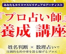 プロ占い師の始め方【副業・独立・起業】方法教えます 新顧客０件→プラチナランクにした『ココナラ販売戦略レポート』 イメージ2