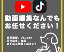 4000円から！動画編集を行います AEを使用しYouTube等用の動画を作成します イメージ1