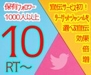Twitter　10RT×保有千人超で宣伝します ココナラ初！ターゲットを選べる拡散で効果倍増します イメージ1