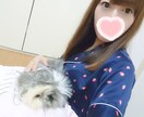 あなたの彼女となりお話します 彼女になってあなたを癒します*° イメージ1