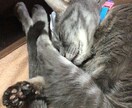 女性限定★5分からでも大丈夫♪貴女お話し聴きます 気に入らなかったらすぐ切っても大丈夫です(^^お待ちしてます イメージ9