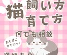 猫の飼い方アドバイザーが愛猫の悩み解決します JLESA認定資格保有。初めての猫暮らしやしつけをプロが支援 イメージ1