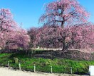 今なら1000円で自分らしく生きるやり方、教えます 私は誰なのか、なぜ今ここにいるのかを知ることができたら。。 イメージ1
