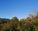 苦しくて本当に辛い、仕事の人間関係のご相談乗ります 意地の悪い上司、同僚、もう限界！調子に乗るな！ふざけるなっ！ イメージ4