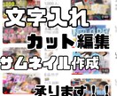 文字入れ　カット　動画編集いたします YouTube投稿経験あり、動画編集いかがですか？ イメージ1