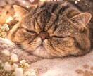 女性向けのおしゃれな広告バナーを制作します 「あなたの想いが伝わる、やさしく上品なデザインをお届け」 イメージ2