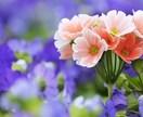 現ポジティブJKとお話できます 少し立ち止まってお話しませんか？ イメージ1