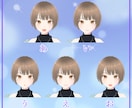 Vtuberの3Dモデル制作いたします イラスト1枚からOK！あなたの思い３Dにします！ イメージ3