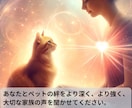 ペットと飼い主様の心の絆を深めます 霊感霊視×七占術でペットと飼い主様の心に癒しを！ イメージ7
