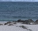 ヒーリングとタロットで占います 男性性女性性、親子問題、性別の悩み、激しい恋愛等を鑑定します イメージ1