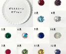 うちの子オーダーメイドアクセサリー制作いたします ピアス・イヤリングでいつも一緒 イメージ6