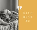 ペットからあなたへ…心のメッセージ伝えます |涙の先にある温もり　あの子が伝えたかったこと イメージ2