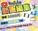 YouTubeやTikTok等の動画編集します 売上UP見やすく、飽きない動画に イメージ1