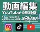 YouTube動画をカット・編集いたします ご不明な点は、お気軽にご相談ください♪ イメージ1