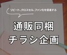 通販商品の同梱チラシの骨子作成します 同梱チラシのWFとライティング作成します。 イメージ1