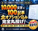 フル装備SEO記事作成！100記事を完全入稿します 全オプション込みのフルパッケージ！KW選定から画像・公開まで イメージ1