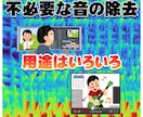 素材音声から不必要な音の除去をします 【動画内の雑音消しなど用途はいろいろ】 イメージ1