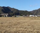 聞き上手？！　各種お悩みや愚痴等何でもお聞きします 自分の経験を活かしながら寄り添ってお聞きするよう努めます イメージ1
