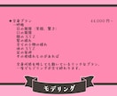 早く安く！高可動なLive2Dモデリングをします 現役Vtuberがクオリティの高いモデルを制作します。 イメージ2