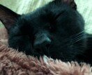 2日間、あなたの話相手になります チャットで2日間、どんな話でも聞きます。悩み、愚痴、相談など イメージ1