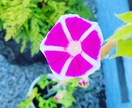 秘密厳守でお話し聞きます 寄添ってお話し聞きますスッキリ笑顔になりましょ☆ イメージ7