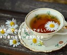 プチ女子会！彼氏・旦那の愚痴やお悩み相談も聞きます ☆女子限定☆30分間チャットで話し放題ʕ•ᴥ•ʔ イメージ3