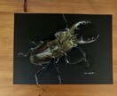 黒紙に色鉛筆でリアルな絵を描きます 黒紙アートとは他にない黒紙に色鉛筆でリアルな絵を描くアート イメージ9