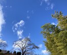 心が軽くなるお手伝いをいたします 話す事で、また前向きに生きることができます。 イメージ2