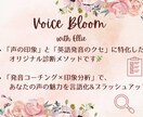 英語の声印象タイプ診断＆アドバイスいたします ♪あなたらしさを引き出し、英語の声に自信を持てる イメージ2