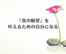 感情の思い込みやトラウマを手放し望む未来を叶えます 自己肯定感が高まり潜在意識レベルでセルフイメージを書き換える イメージ9
