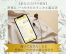 鑑定書付｜デザイナーがボタニカルタロット占います 心に凪を｜デザイナーが贈る、癒やされるボタニカルタロット占い イメージ1