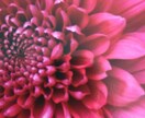 画像付き♡お花のオラクルカードで占います お花のエネルギーで癒されたい方へ♡ イメージ1