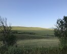 海外の写真撮ります 日本にはない風景や食材や人々の写真を提供します イメージ1