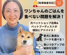 有資格者|愛犬のごはん食べない問題を解決します 元ペットショップ店員×ペットフーディストが個別アドバイス！ イメージ1