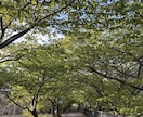 すべてチャットで聞きます 胸に詰まった思い、伝わらない思い、あなたに寄り添います イメージ5