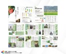 プロデザイナーが『観光』ガイドブック制作致します 実務歴10年～19年のグラフィックデザイナーメンバーがご対応 イメージ3
