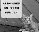 犬と猫の健康相談、飼育・栄養相談お受けします 動物病院勤務歴のある獣医師がお答えします イメージ1