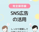 LP＋広告 制作から運用 SNS広告サポートします インスタ・goole・yutube・LINE で売り上げ倍増 イメージ2