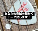 現役作詞作曲家があなたの音域を細かく計ります あなたの音域を細かくデータ化します！ イメージ1