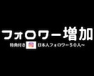 限定特典！ Instagramフォロワー増やします 日本人フォロワー50人～増やすようプロモーションします イメージ1