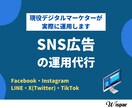 SNS広告運用を代行します SNS広告運用全てをまるっとお任せ！ イメージ1