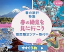 Webバナーを丁寧に制作します 伝わりやすく、目的に合わせたデザインをご提案 イメージ6