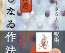 インデザインで書籍丸ごとデザインいたします 書籍カバー、帯、表紙、本文等、書籍の制作を承ります イメージ5