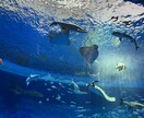 あなたの恋のお悩み聞きます なんでも大丈夫！楽しく恋愛しましょ！ イメージ1