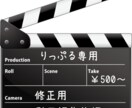 納品された動画や画像、バナー修正いたします 納品された動画や画像、バナーの修正をご依頼いただけます イメージ1