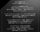Twitter 日本人フォロワー300人増加します X・旧Twitter 日本人フォロワー300人以上増やします イメージ5
