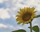 誰かと話したいなぁ…お気持ちに優しく寄り添います ただ聞いてほしい/雑談/愚痴/育児/仕事/人間関係/相談も イメージ6