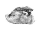 どうぶつのイラスト描きます 二次利用◎かわいいうちの子のグッズ作りませんか? イメージ6